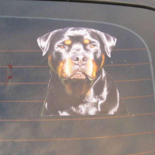 Auto-Aufkleber mit Hunde-Fotos freie Form, ohne Text, bis 16 cm